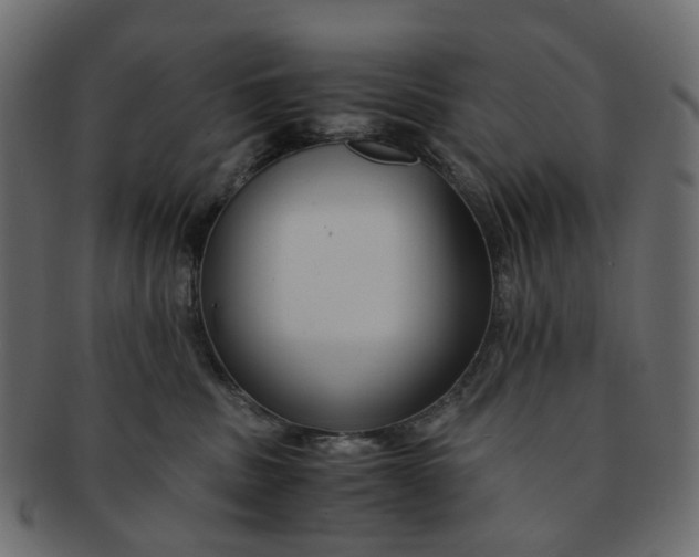 X0000091540379200709071109