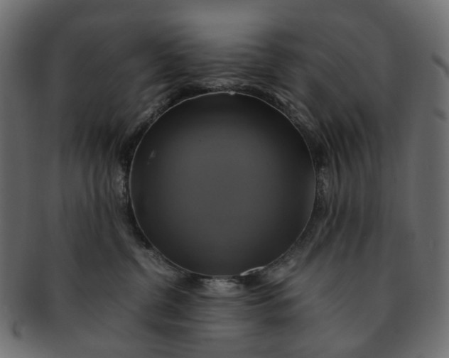 X0000091540380200709071109