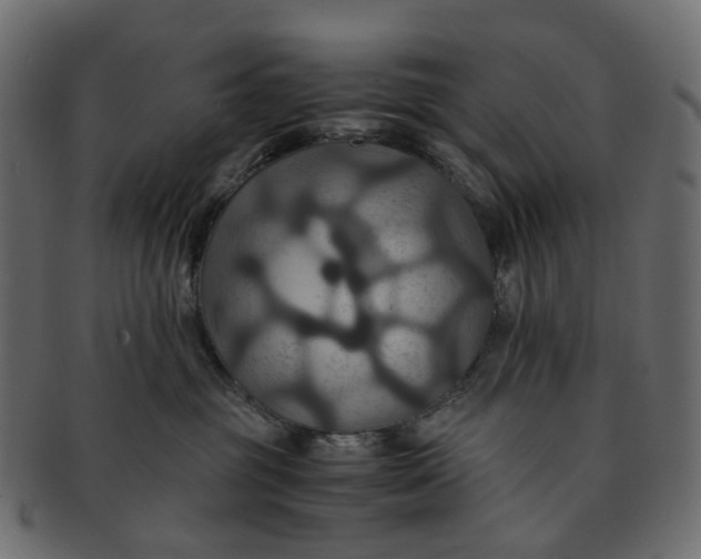 X0000091540381200709071109