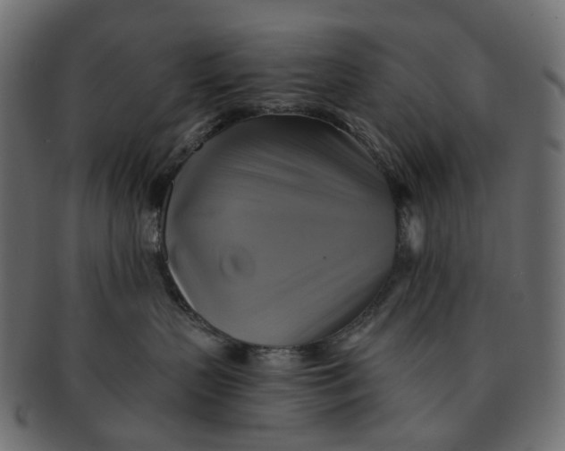 X0000091540383200709071109