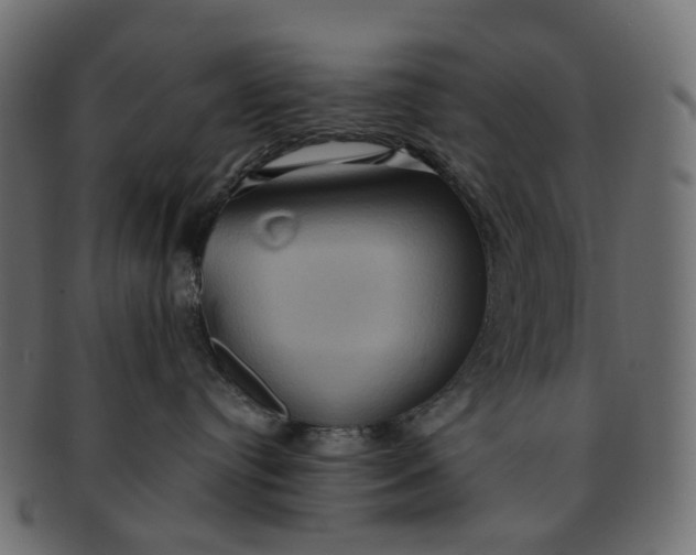 X0000091540384200709071110