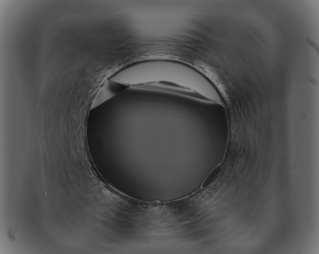 X0000091540385200709071109