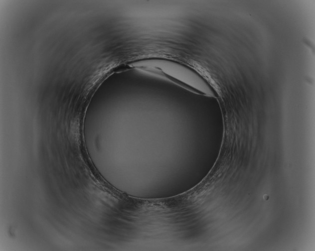 X0000091540386200709071109