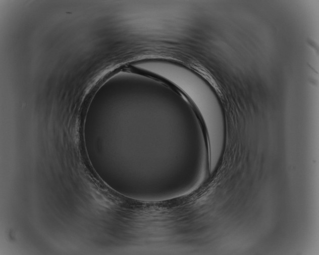 X0000091540387200709071109