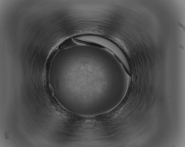 X0000091540388200709071109