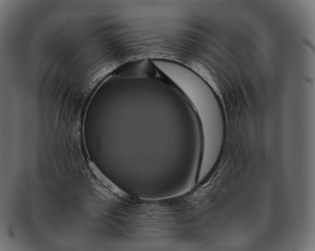 X0000091540389200709071109