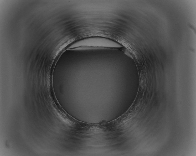 X0000091540390200709071109