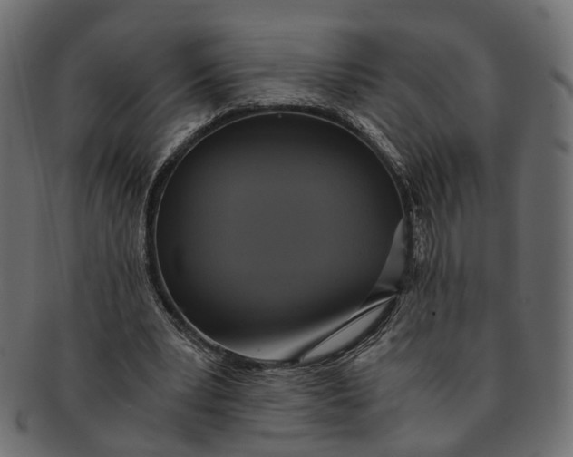 X0000091540391200709071109