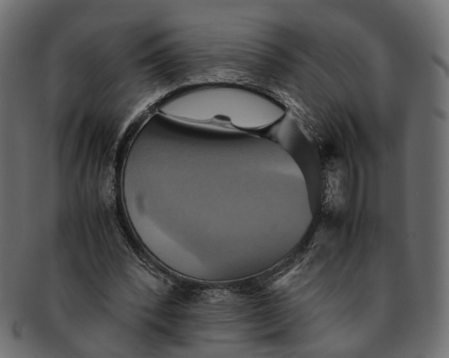 X0000091540392200709071109