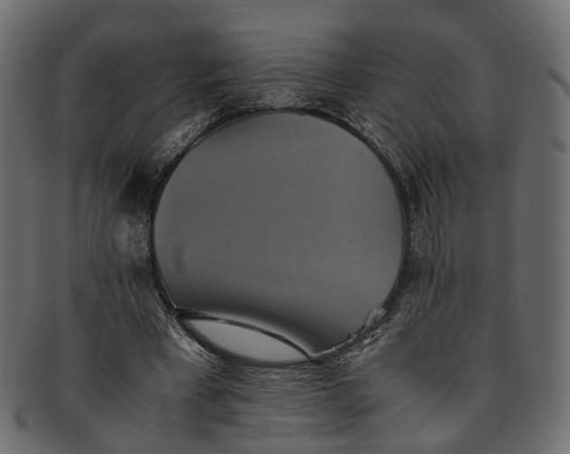 X0000091540393200709071109