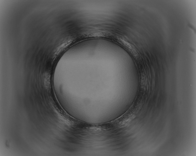 X0000091540394200709071109