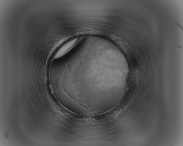 X0000091540395200709071109