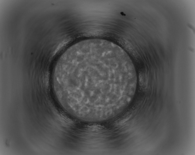 X0000091540396200709071109