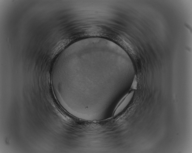 X0000091540397200709071109