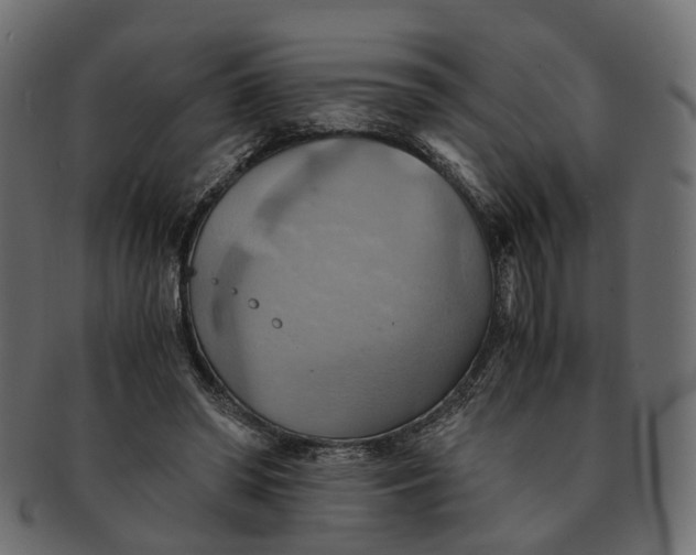 X0000091540398200709071109