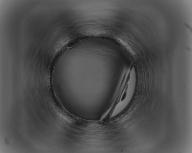 X0000091540399200709071109