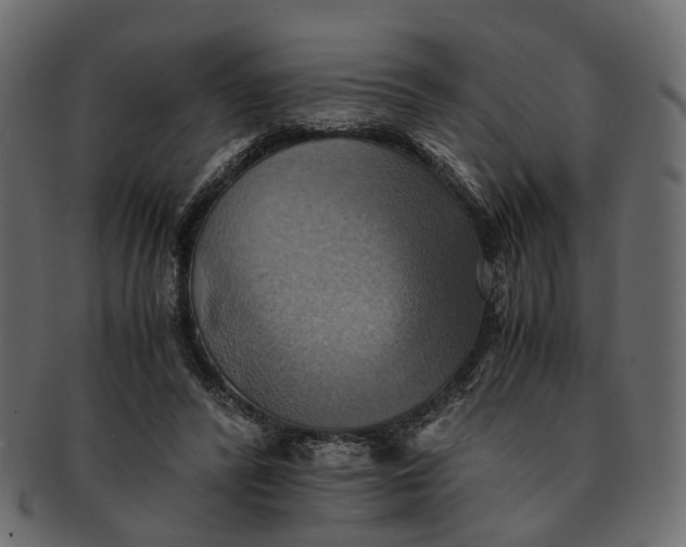 X0000091540400200709071109