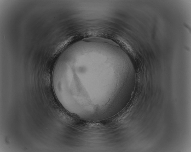 X0000091540401200709071109