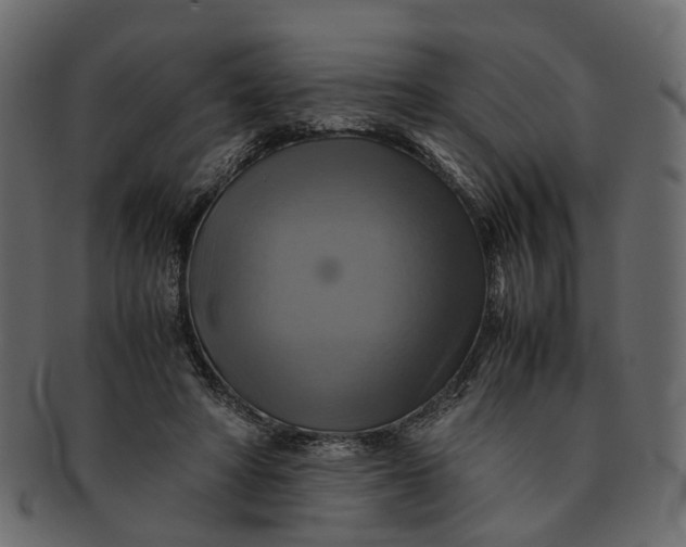 X0000091540402200709071109