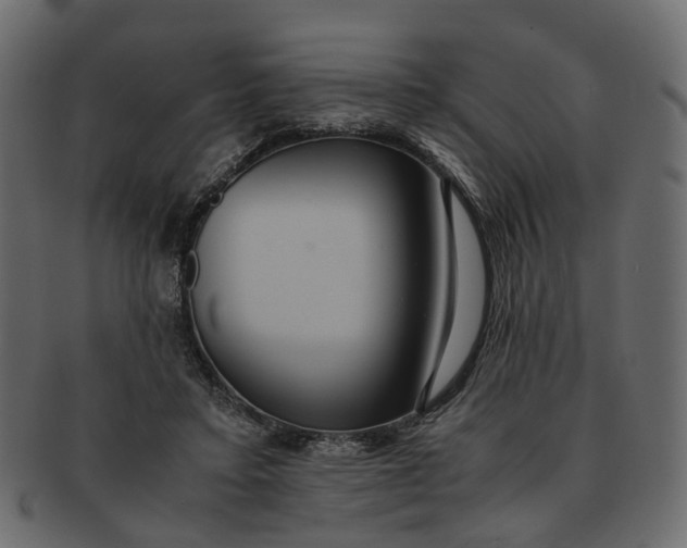 X0000091540403200709071109