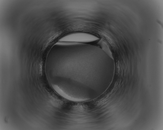 X0000091540404200709071109