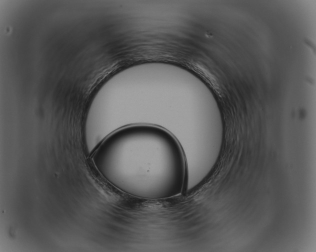 X0000091540405200709071109