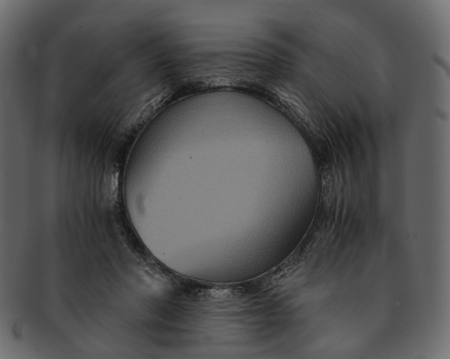 X0000091540406200709071109