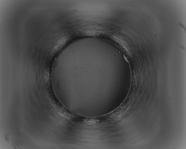 X0000091540407200709071109