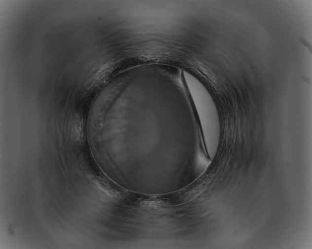 X0000091540408200709071109