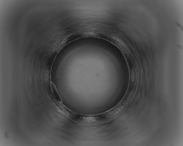 X0000091540409200709071109