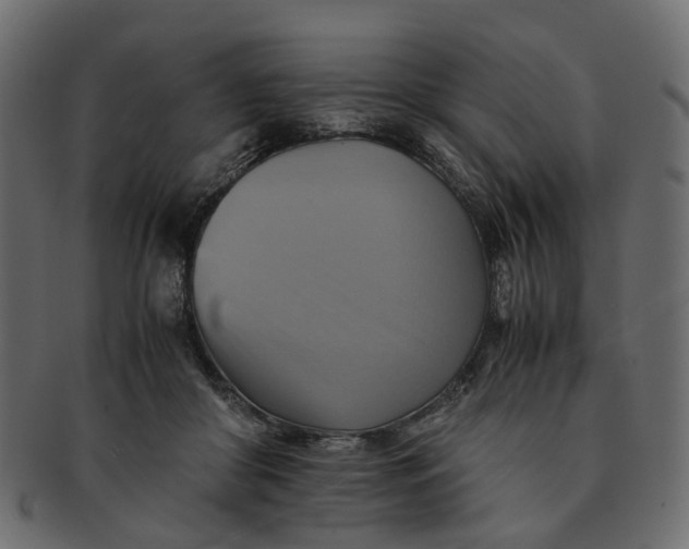 X0000091540410200709071109