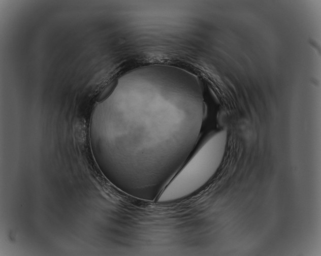 X0000091540413200709071108