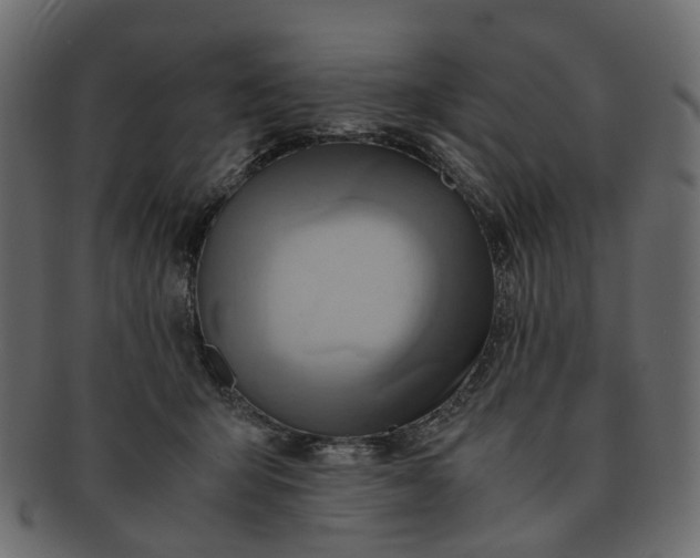 X0000091540415200709071108