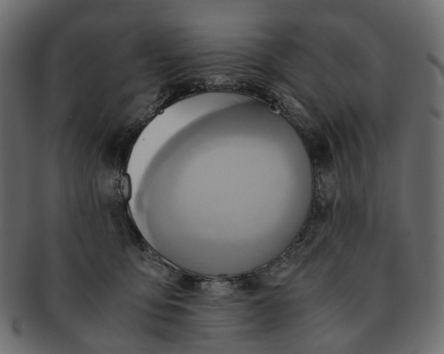 X0000091540419200709071108