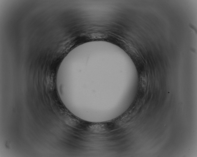 X0000091540422200709071108