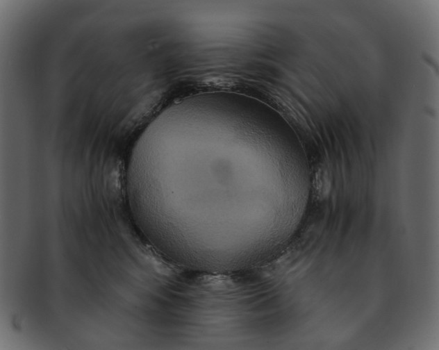 X0000091540424200709071108