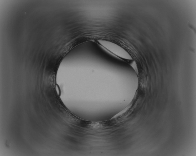 X0000091540425200709071108