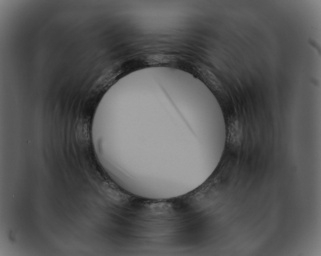 X0000091540426200709071108