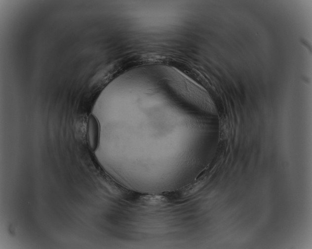 X0000091540427200709071108