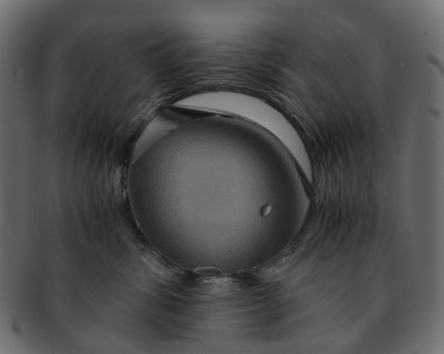 X0000091540428200709071108