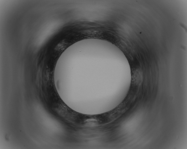 X0000091540430200709071108