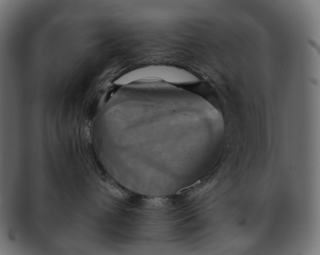 X0000091540432200709071108