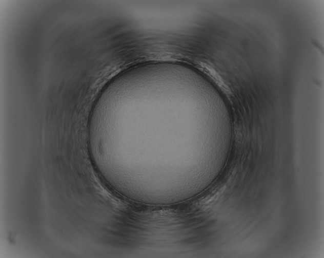 X0000091540433200709071108