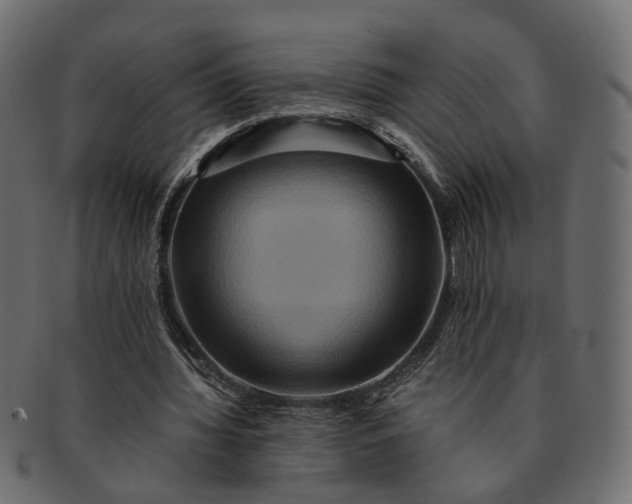 X0000091540436200709071108