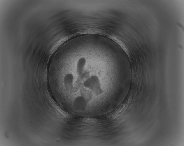 X0000091540437200709071108