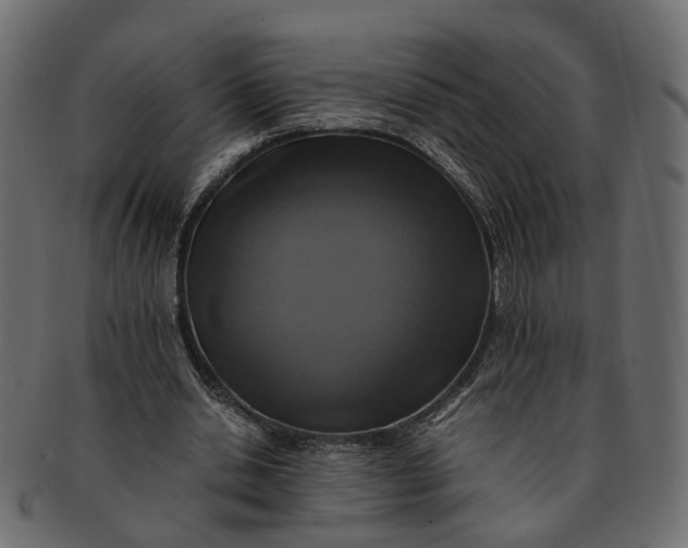 X0000091540438200709071108