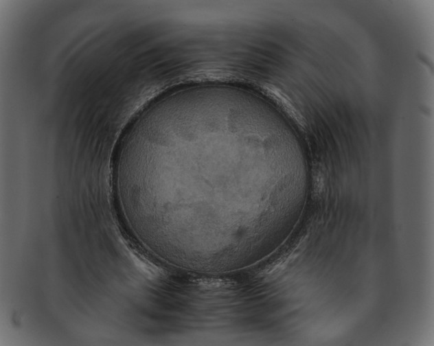 X0000091540439200709071108