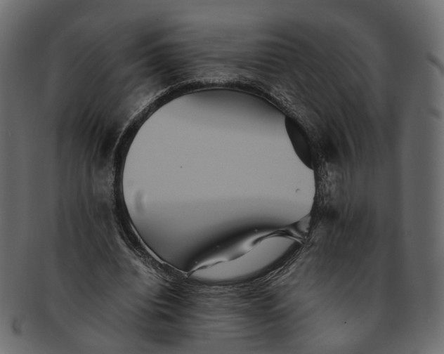 X0000091540440200709071108