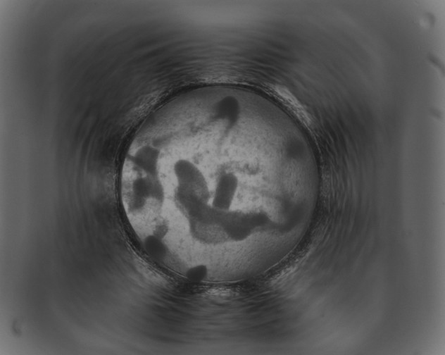 X0000091540441200709071108