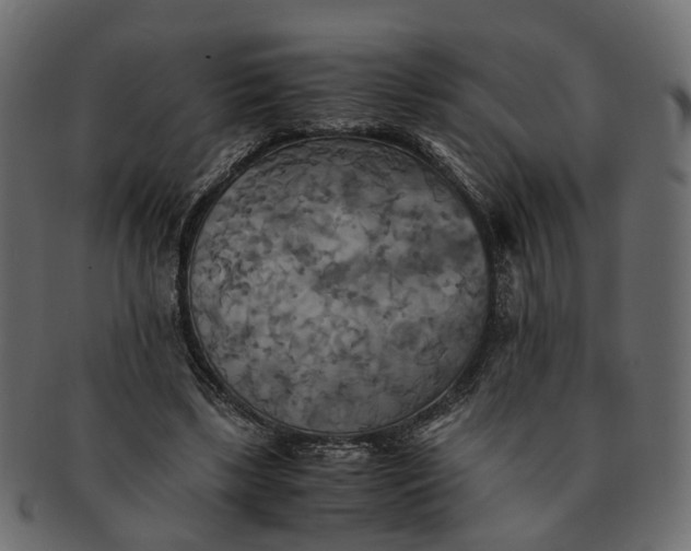 X0000091540443200709071108